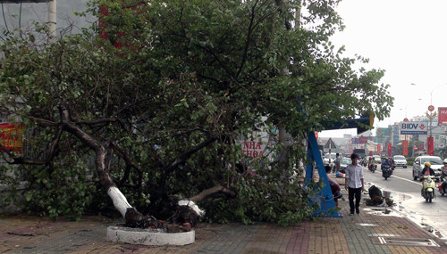 Mưa đá gần một giờ ở Bình Dương ảnh 1