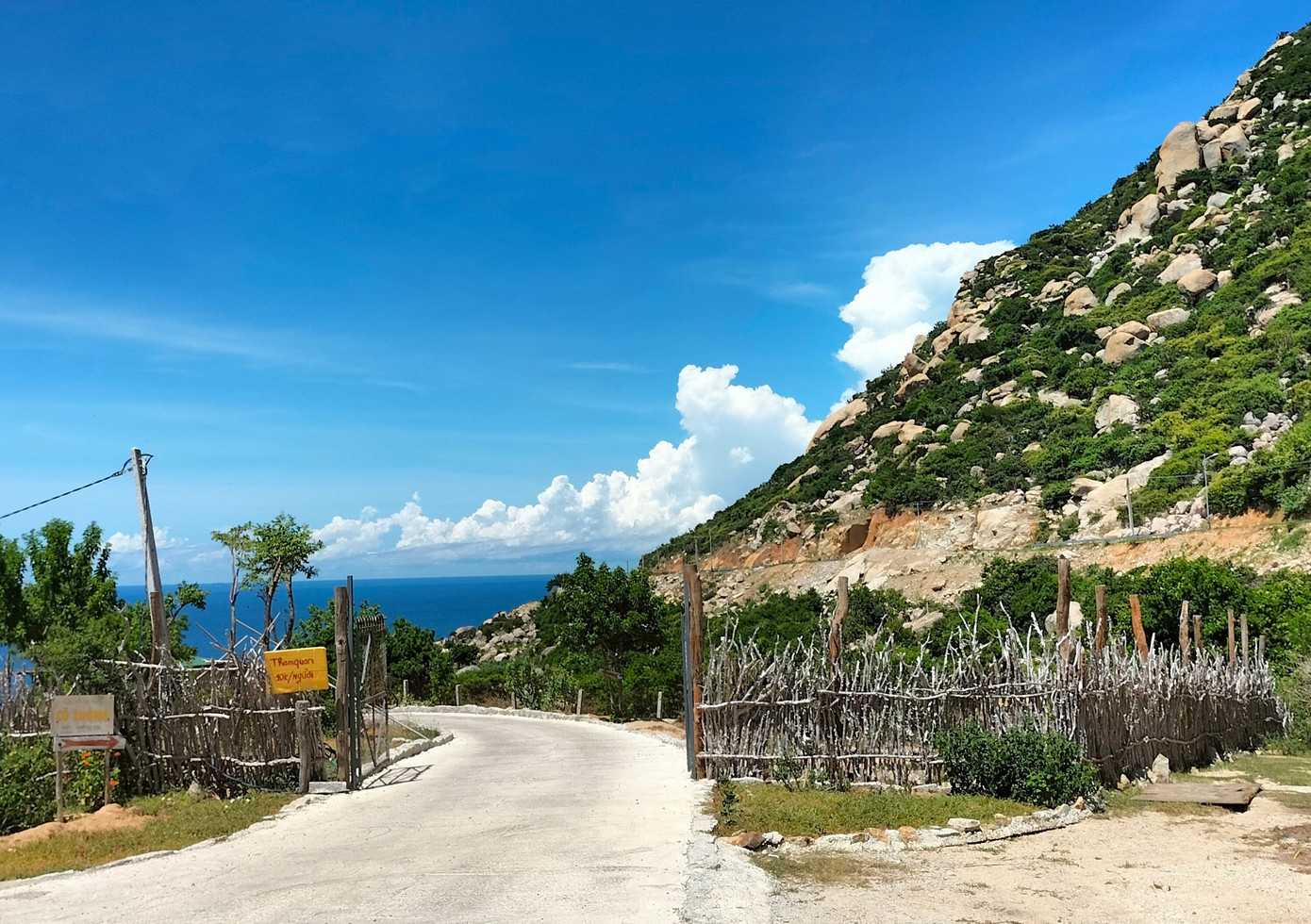 Đất rừng phòng hộ tại xã Phước Dinh bị người dân lấn chiếm xây nhà. Ảnh: L.H. Đất rừng phòng hộ tại xã Phước Dinh bị người dân lấn chiếm xây nhà. Ảnh: L.H.