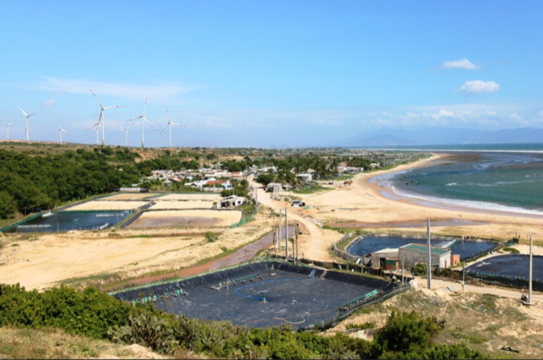 Một khu vực người dân nuôi tôm trên cát tại xã Phước Dinh, huyện Thuận Nam. Một khu vực người dân nuôi tôm trên cát tại xã Phước Dinh, huyện Thuận Nam.