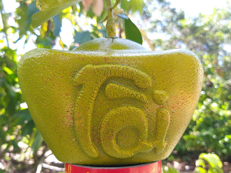 Cây cảnh độc lạ hút khách dịp Tết ảnh 4 Cây cảnh độc lạ hút khách dịp Tết ảnh 4