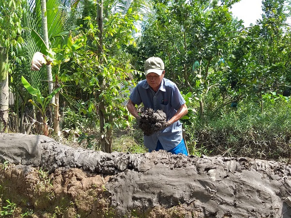 Bưởi rụng trắng gốc, giá bán bằng... cọng hành ảnh 4
