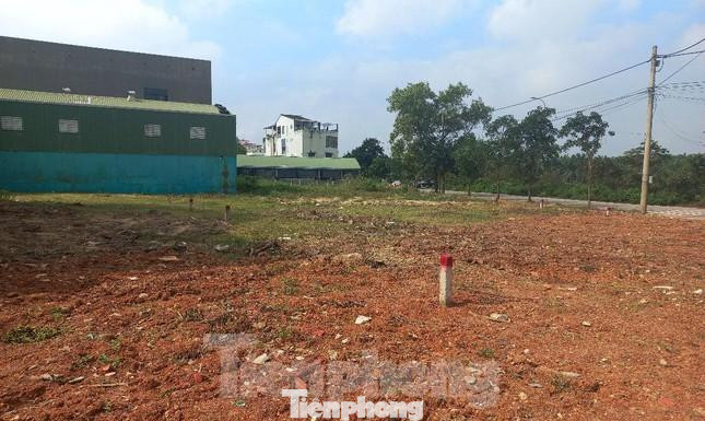 Các lô đất từng tấp nập môi giới và nhà đầu tư đến xem ở TP. Đông Hà (Quảng Trị) nay đìu hiu, ít người qua lại. Các lô đất từng tấp nập môi giới và nhà đầu tư đến xem ở TP. Đông Hà (Quảng Trị) nay đìu hiu, ít người qua lại.