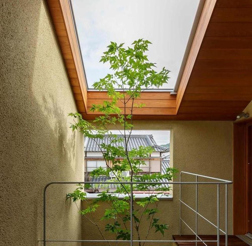 Nên chọn hướng Nam hoặc Đông Nam, vì đây là những hướng đón nhận không khí mát mẻ và nguồn sáng ổn định nhất trong ngôi nhà.