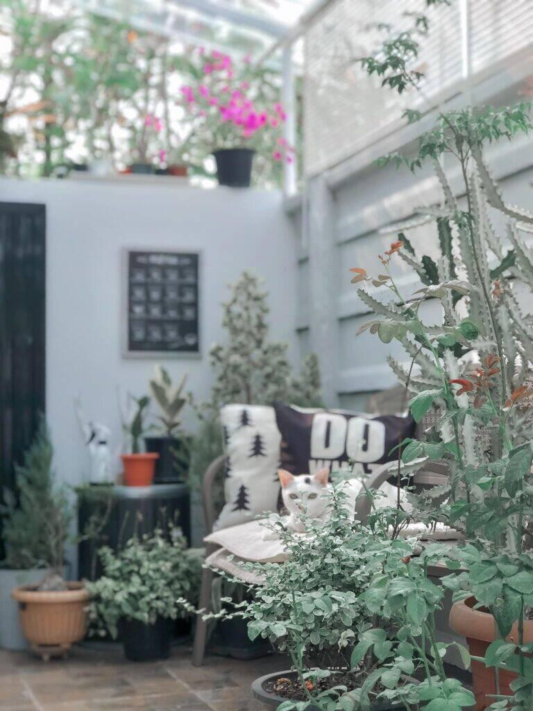 Phía sau nhà có một khu vực nhỏ để gia chủ trồng hoa, cây cảnh. Đây cũng là nơi thư giãn của hai vợ chồng sau mỗi ngày làm việc mệt mỏi.