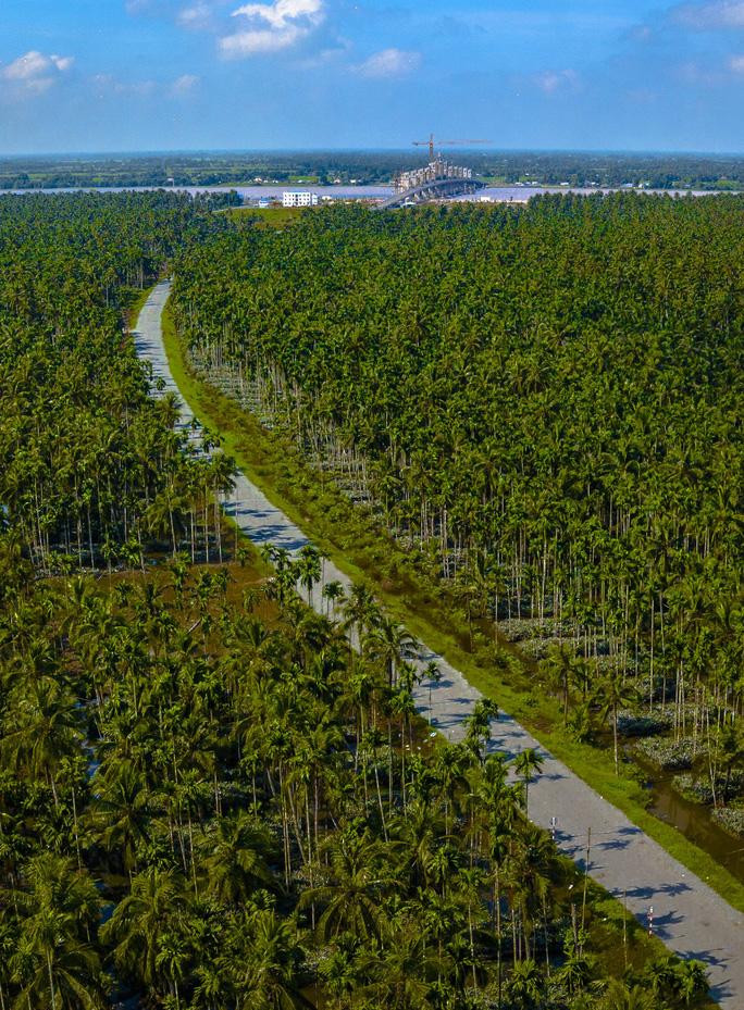 Ngắm siêu công trình thủy lợi Cái Lớn - Cái Bé trước “giờ G” khánh thành - Ảnh 19.