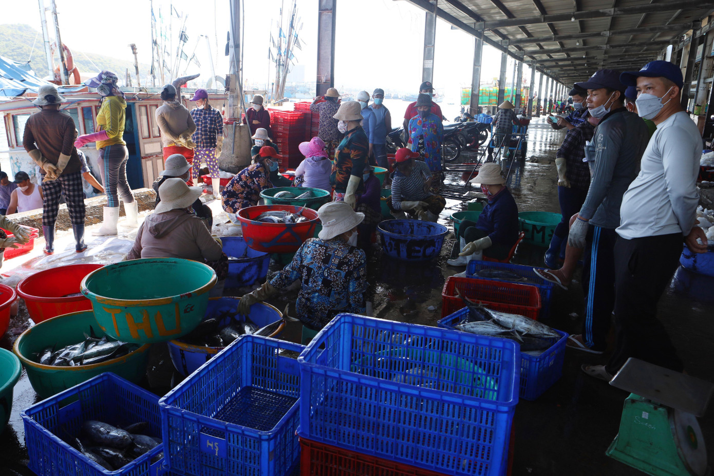 Trong một ngày chỉ vài tàu xa bờ cập cảng Hòn Rớ để bán hải sản. Trong một ngày chỉ vài tàu xa bờ cập cảng Hòn Rớ để bán hải sản.