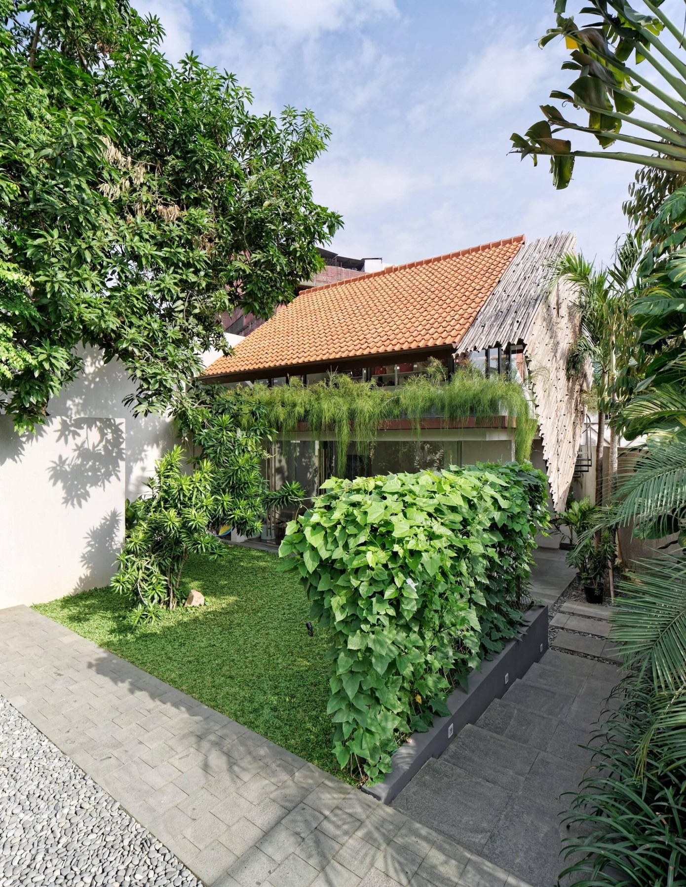 Xung quanh nhà là khu vườn rộng với rất nhiều loài cây thân quen như chuối cảnh, cây dừa cảnh,...