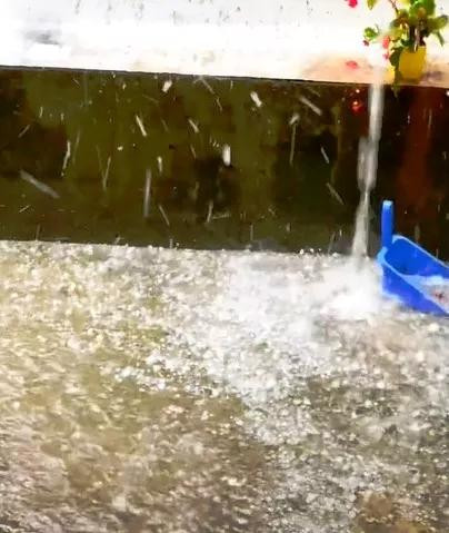 Mưa đá đầu mùa trút xuống TP Đà Lạt. Mưa đá đầu mùa trút xuống TP Đà Lạt.