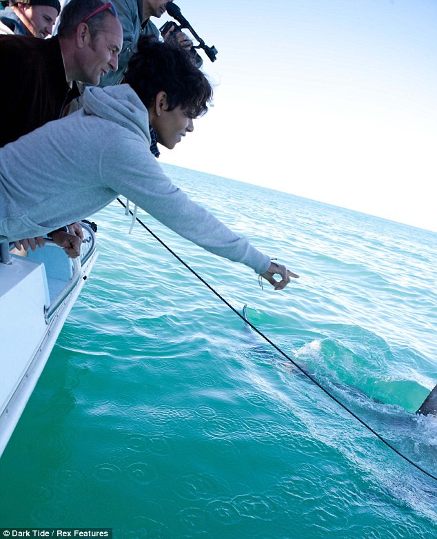 Halle phải thực hiện những cảnh quay rất nguy hiểm cùng với những chú cá mập. Halle phải thực hiện những cảnh quay rất nguy hiểm cùng với những chú cá mập