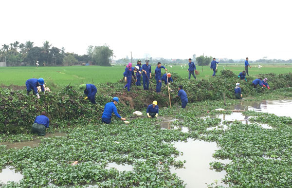 T.Ư Đoàn tổ chức điểm Ngày chủ nhật xanh tuần 3 ảnh 2
