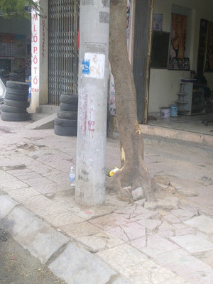 Địa điểm xảy ra vụ tai nạn. Địa điểm xảy ra vụ tai nạn