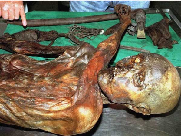 Người băng đã săn động vật và có một bữa ăn thịnh soạn trước khi chết