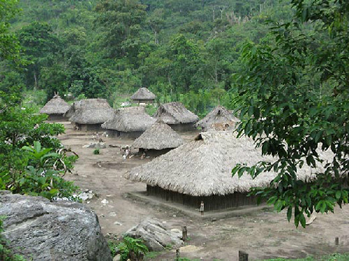 Những túp lều nhỏ trong làng người Kogi. Những túp lều nhỏ trong làng người Kogi