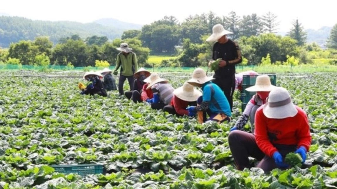 Xuất hiện tình trạng mạo danh là cán bộ/nhân viên doanh nghiệp hoạt động dịch vụ đưa người lao động Việt Nam đi làm việc ở nước ngoài theo hợp đồng để lừa đảo, thu tiền. Ảnh minh họa.
