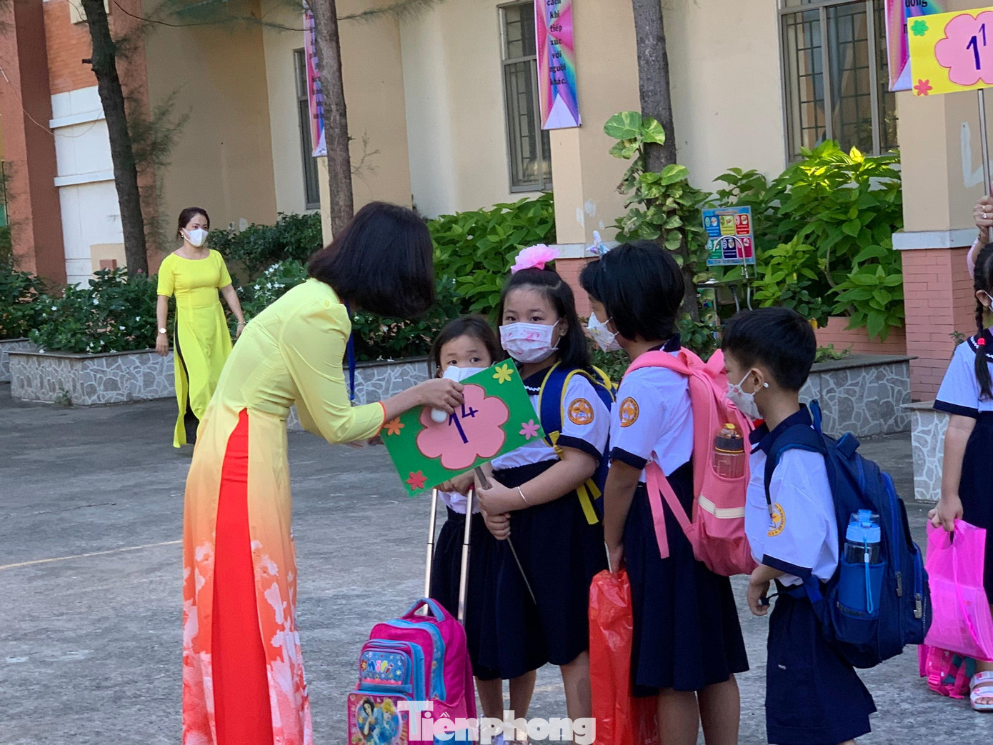 Học phí TPHCM có thể tăng gấp 5 lần năm học tới ảnh 1