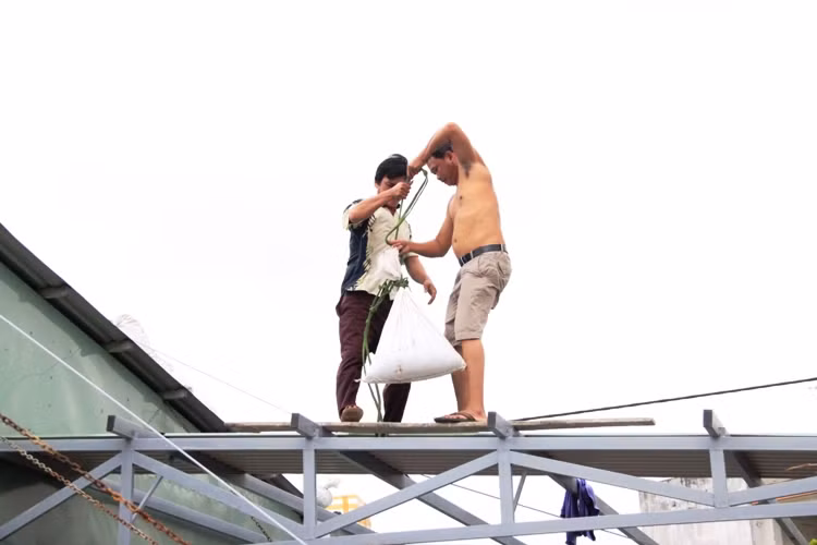 Từng bao cát được người dân vận chuyển lên mái nhà tạo lực cản chống bay tôn, tốc mái