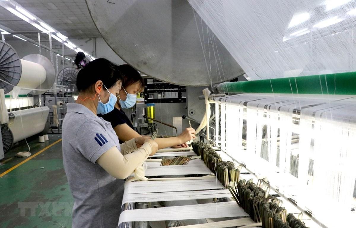 Sản xuất tại Cty TNHH MTV SIGMA (Khu công nghiệp Đức Hòa III- Anh Hồng, huyện Đức Hòa, Long An. Ảnh: TTXVN.