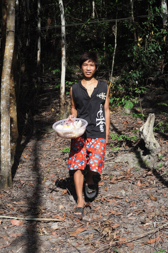 Hái măng, hái nấm, mỗi ngày các em kiếm được 50- 70 ngàn đồng