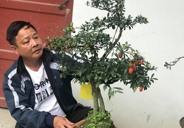 Đại gia 'chơi trội' chi trăm triệu mua hồng đá hiếm về chưng Tết ảnh 5