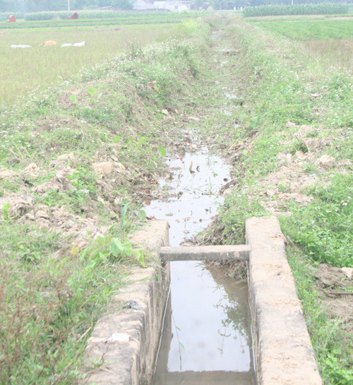 Hỗ trợ ông Hàn Đức Long hòa nhập cuộc sống ảnh 1