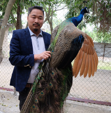 Cận cảnh vườn chim quý hiếm bậc nhất Hà thành ảnh 7