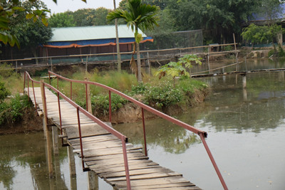 Cận cảnh vườn chim quý hiếm bậc nhất Hà thành ảnh 6