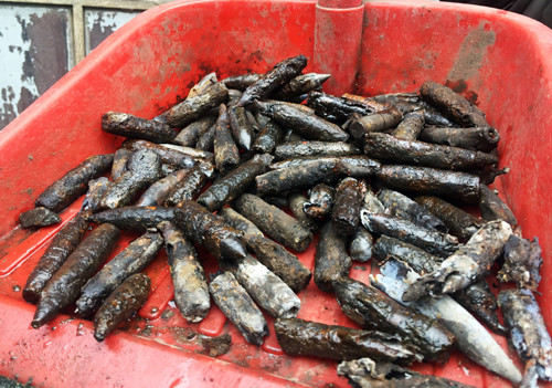 Vụ nổ tại Bắc Ninh: Chủ cơ sở và 'mối hàng' phế liệu quốc phòng ảnh 3