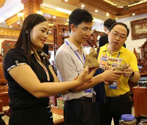 Đoàn đại biểu thanh niên Trung Quốc thăm đền Đô, làng tranh Đông Hồ ảnh 1