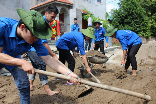Thanh niên Bắc Ninh triển khai 'Tình nguyện tập trung 2018' ảnh 2