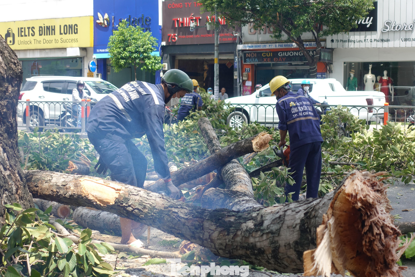Một đoạn đường Phan Đăng Lưu cũng bị phong tỏa tạm thời để nhân viên Công ty Công viên cây xanh TPHCM giải tỏa hiện trường.