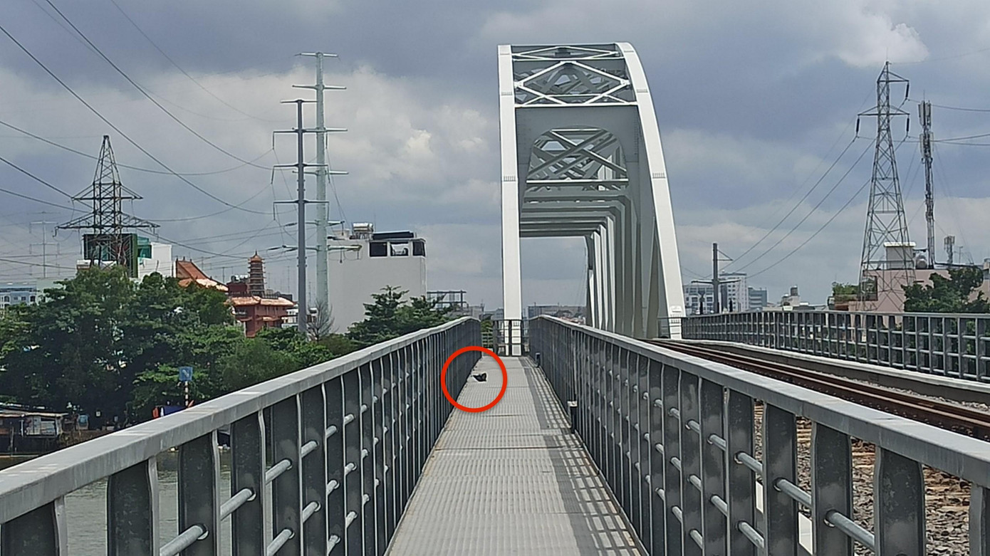 Người phụ nữ bỏ lại mũ bảo hiểm trên cầu rồi nhảy xuống sông Sài Gòn. Người phụ nữ bỏ lại mũ bảo hiểm trên cầu rồi nhảy xuống sông Sài Gòn.