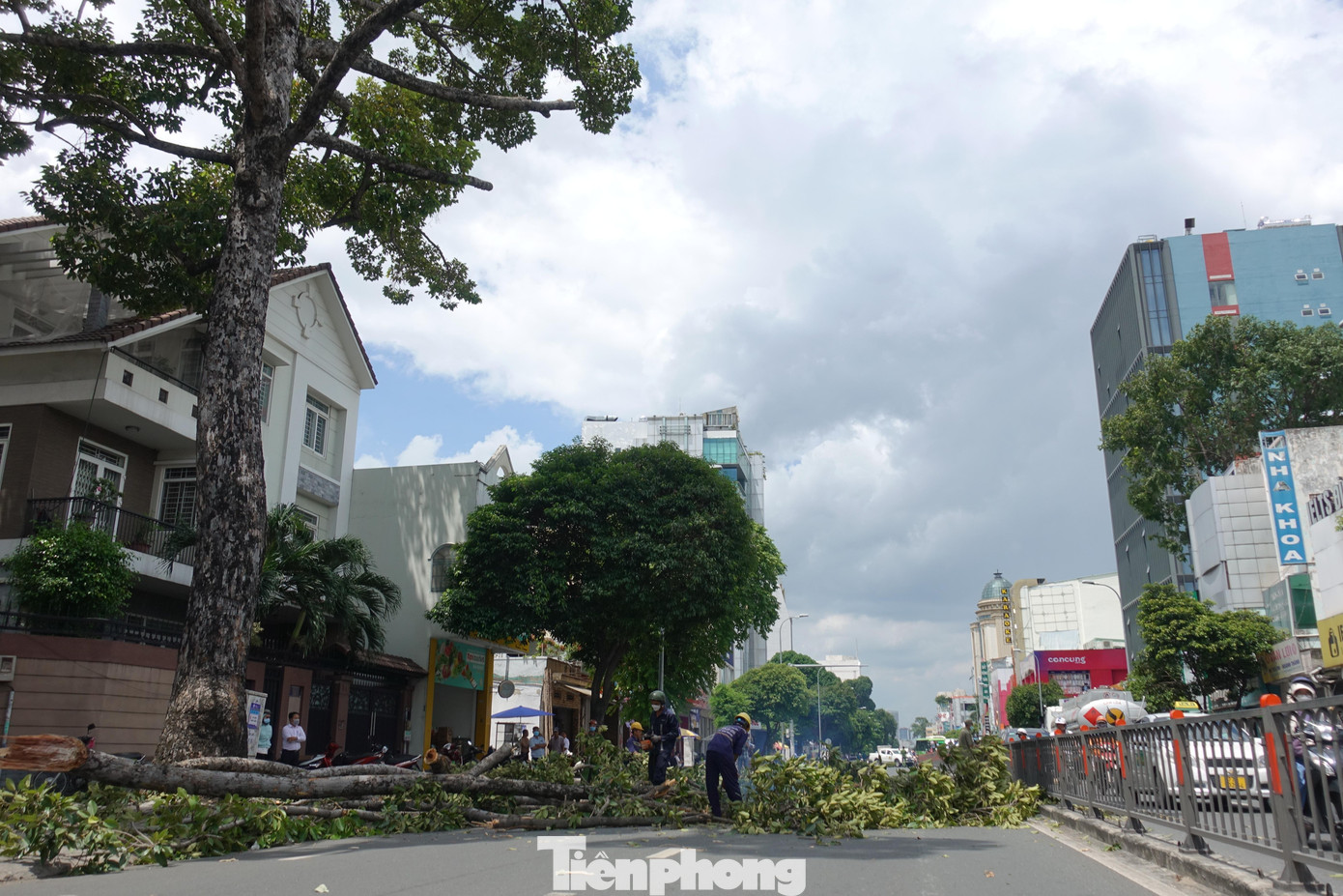 Các nhân chứng cho biết, thời điểm xảy sự cố tét nhánh cây, thời tiết không mưa và cũng không có gió lớn.