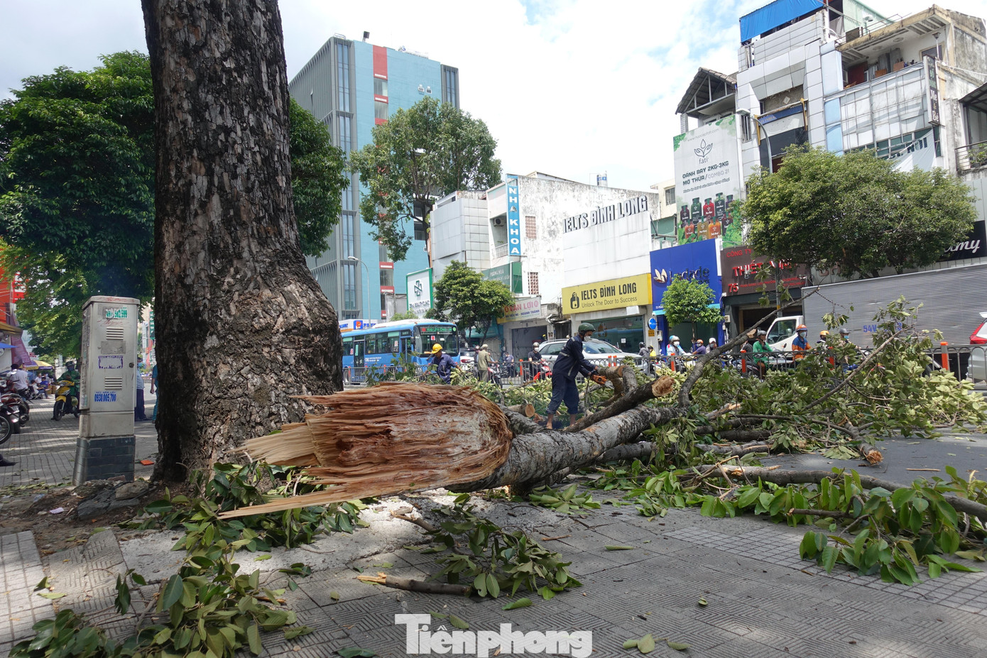 Đến 13h ngày 4/7, nhân viên Công ty TNHH MTV Công viên cây xanh TPHCM vẫn đang khẩn trương khắc phục sự cố tét nhánh cây, rơi trúng xe máy chở theo 3 người trên địa bàn quận Bình Thạnh.