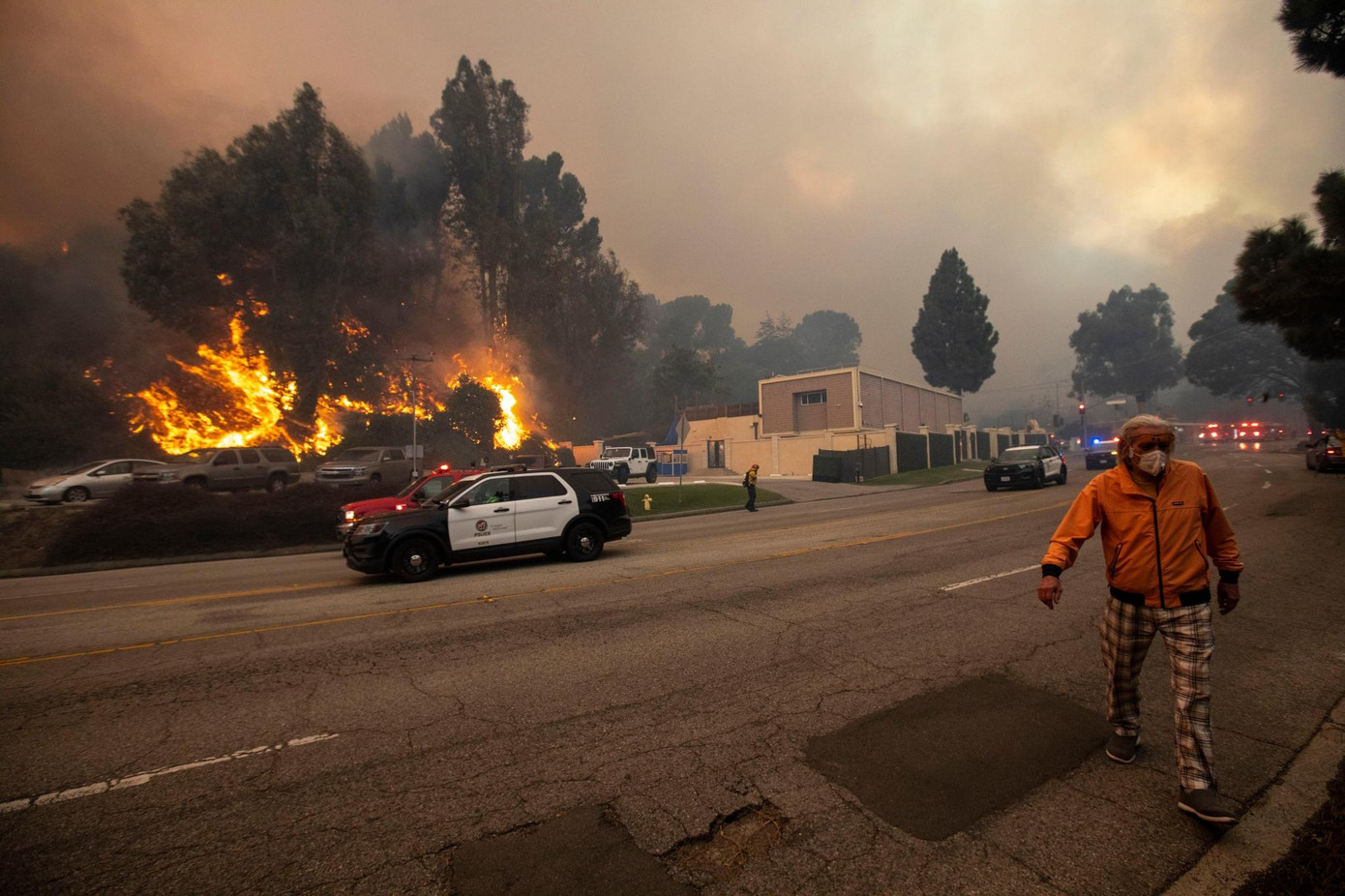 Cháy rừng diện rộng xảy ra ở Los Angeles. Ảnh: Getty Images.