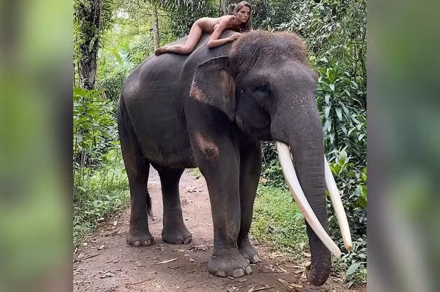 Alesya Kafelnikova đăng ảnh khỏa thân cưỡi một con voi Sumatra - loài đang có nguy cơ tuyệt chủng ở Bali (Ảnh: NY Post).