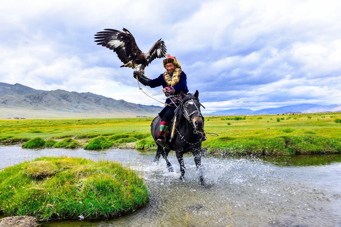 Thợ săn bằng đại bàng trên núi Mông Cổ.