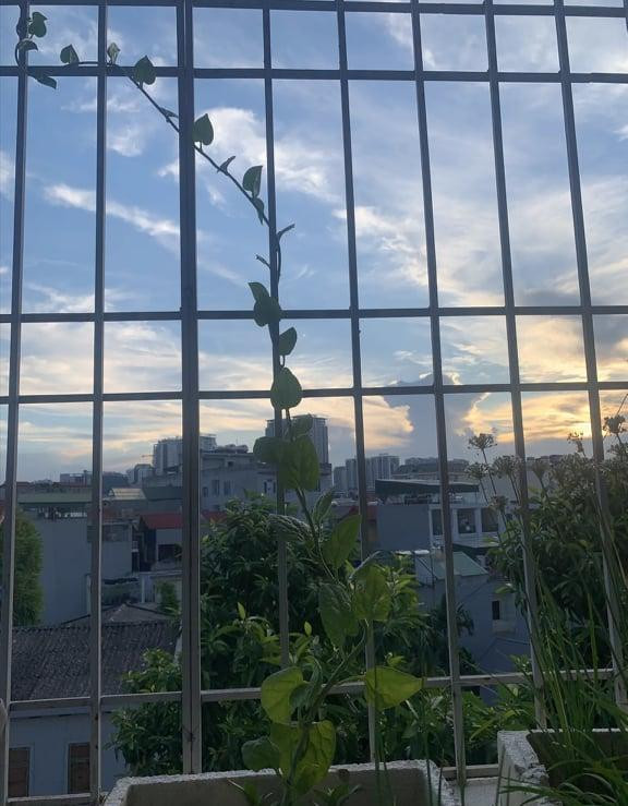 Cô bạn hào hứng: “Mình xem thời gian này là một khoảng lặng để học cách lắng nghe nhiều hơn, dành thời gian cho bản thân và tự tái tạo lại nguồn năng lượng mới”. Cô bạn hào hứng: “Mình xem thời gian này là một khoảng lặng để học cách lắng nghe nhiều hơn, dành thời gian cho bản thân và tự tái tạo lại nguồn năng lượng mới”.