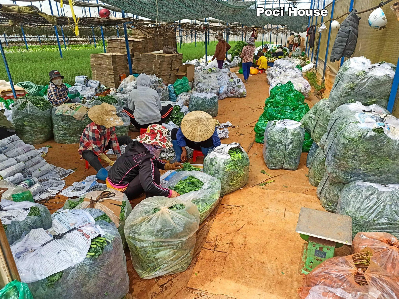 Gần 1000 đơn hàng được kiểm tra và đóng gói cẩn thận để gửi xuống TP. HCM mỗi ngày Gần 1000 đơn hàng được kiểm tra và đóng gói cẩn thận để gửi xuống TP. HCM mỗi ngày