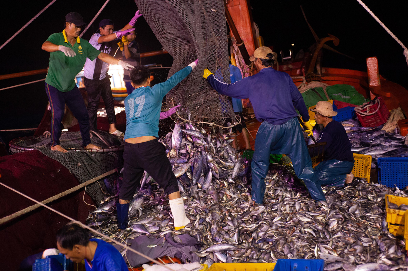 Hình ảnh đánh cá ngừ do Đặng Hải chụp trên chuyến tàu khởi hành từ cảng Bến Đá (Vũng Tàu) di chuyển về hướng lãnh hải của Malaysia và Indonesia.