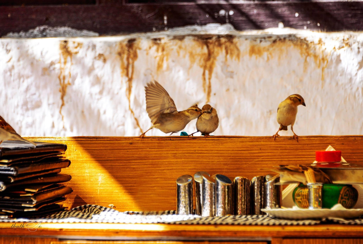 “Hôn trộm” - Bức ảnh được nhiều yêu thích của cộng đồng mạng