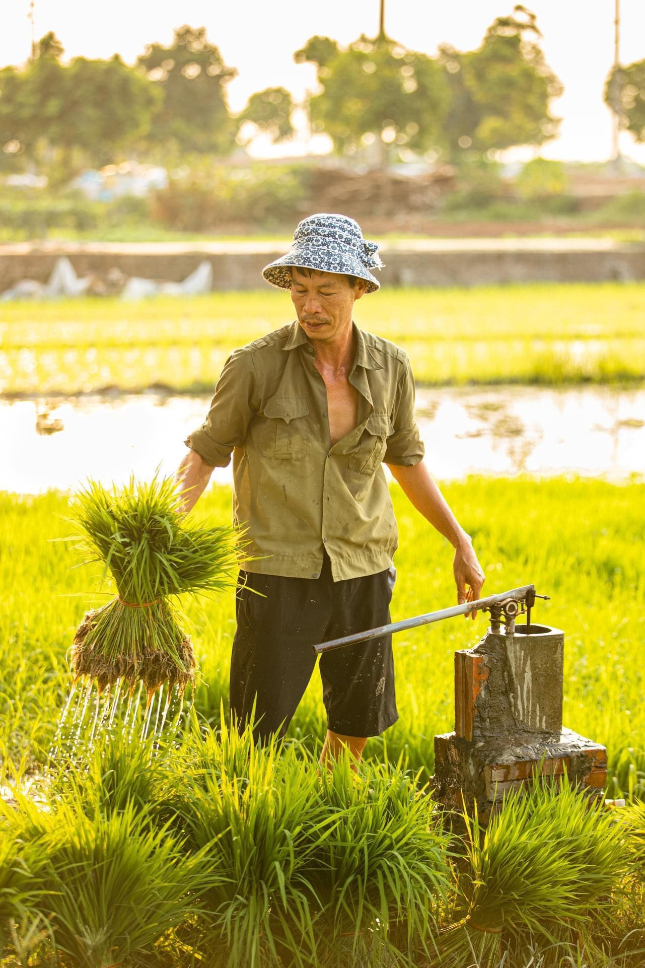 Những khoảnh khắc miệt mài của người nông dân khiến người xem càng trân quý hơn thành quả lao động.