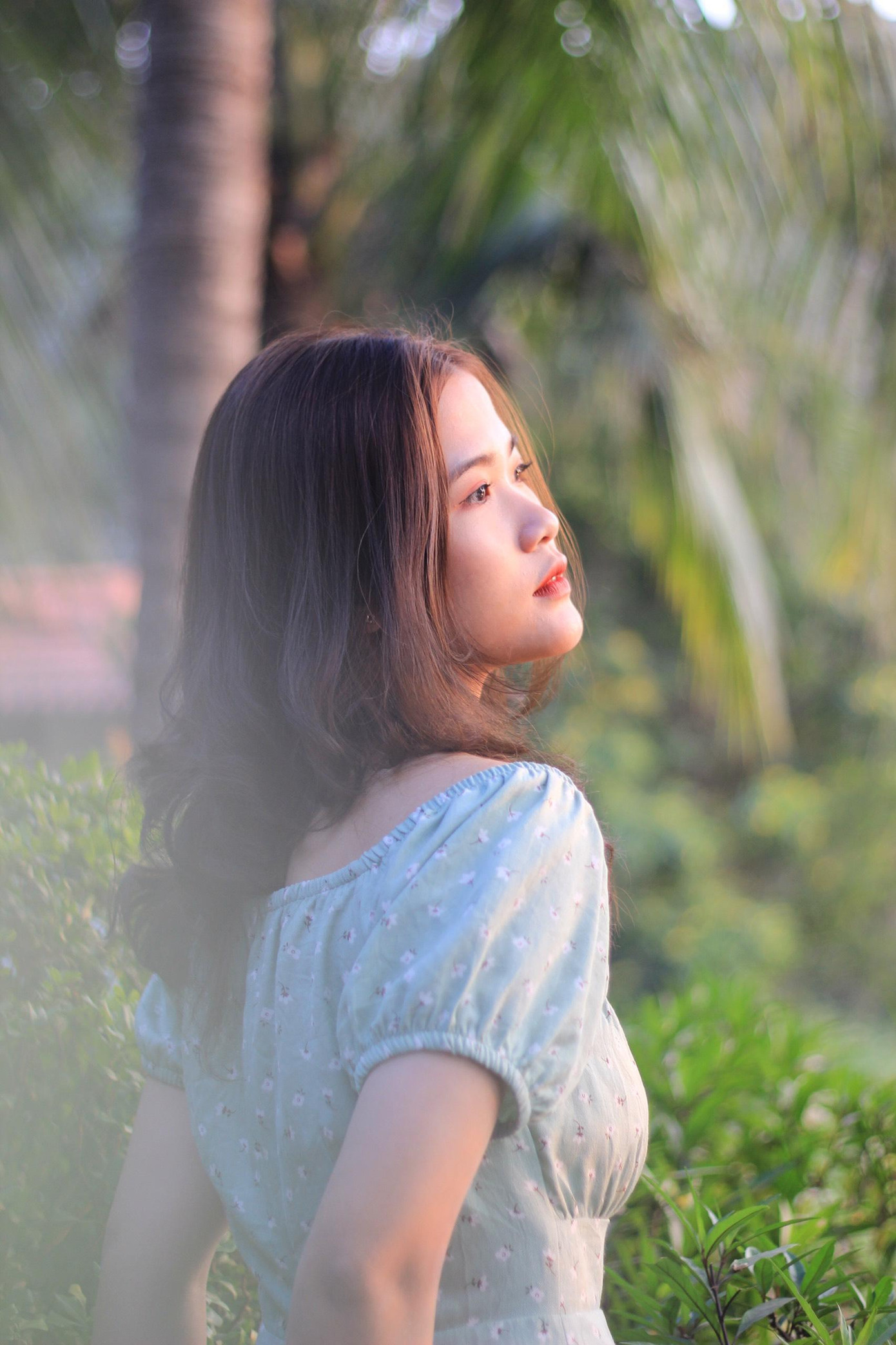 Châu Băng lo lắng trước những tác động tiêu cực, đe dọa tới sự sống trên hành tinh.