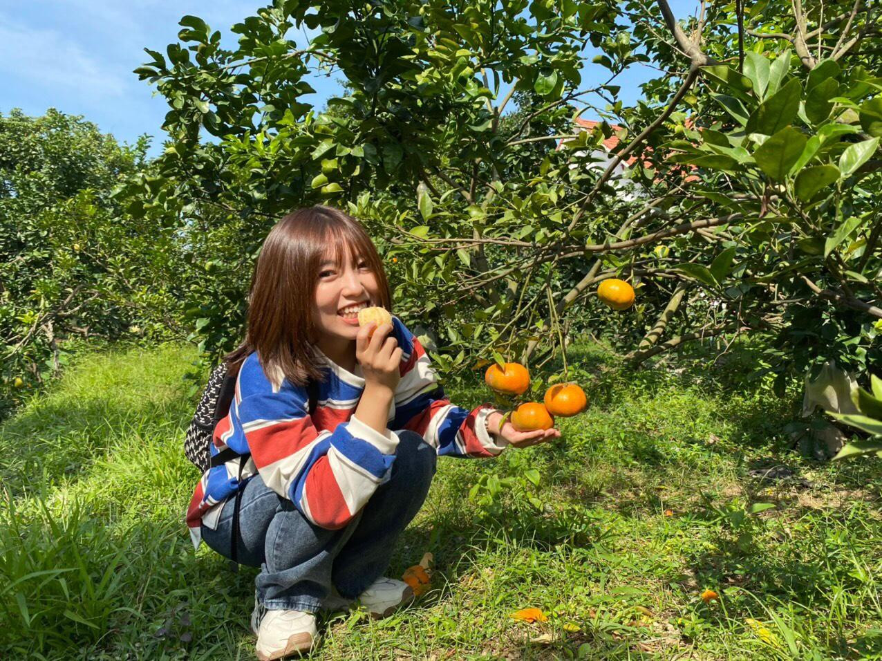 Pít Ham Ăn review vườn cây ăn quả khi về quê bạn học. Pít Ham Ăn review vườn cây ăn quả khi về quê bạn học.