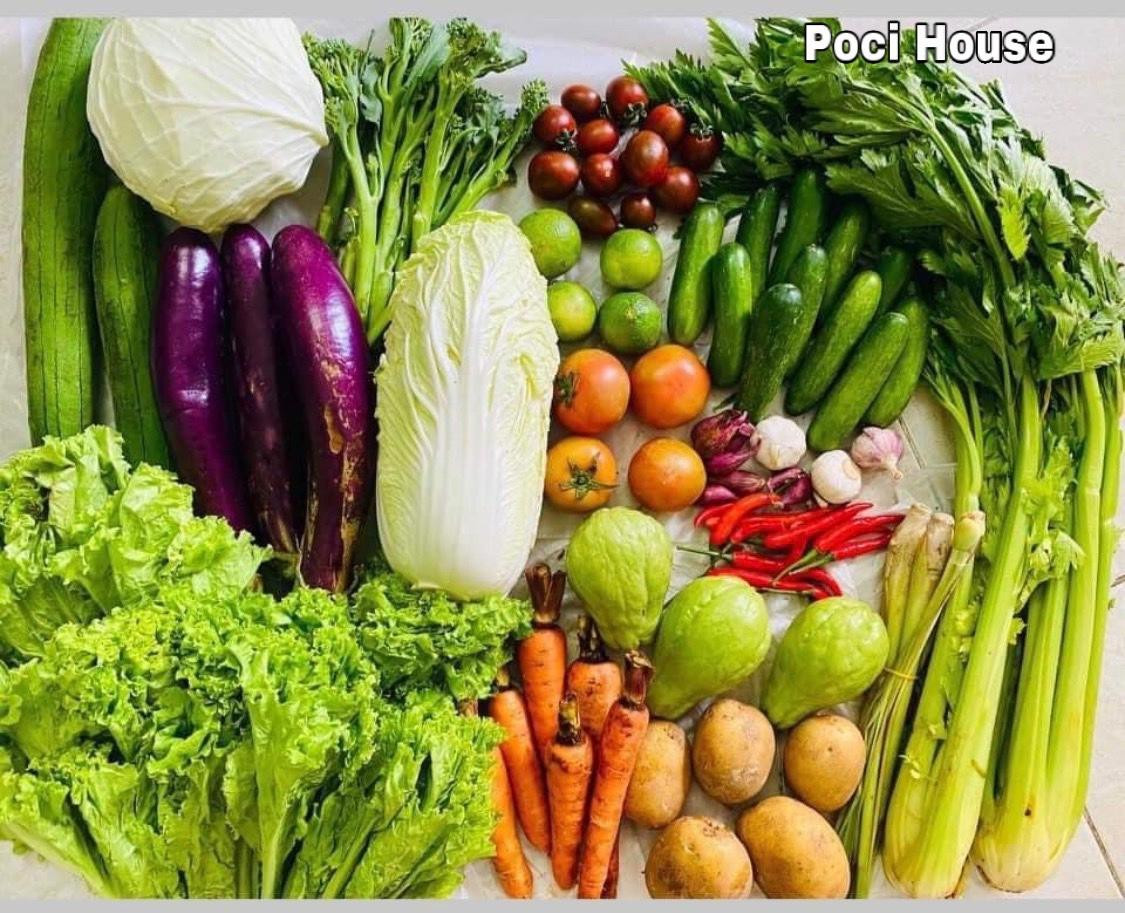 Những loại rau củ tươi ngon, sạch sẽ và giàu dinh dưỡng của Đà Lạt đều được Mỹ Chi lựa chọn kỹ lưỡng Những loại rau củ tươi ngon, sạch sẽ và giàu dinh dưỡng của Đà Lạt đều được Mỹ Chi lựa chọn kỹ lưỡng