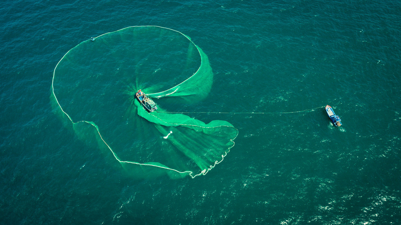 Lưới đánh bắt cá cơm Nhơn Lý, TP. Quy Nhơn, tỉnh Bình Định