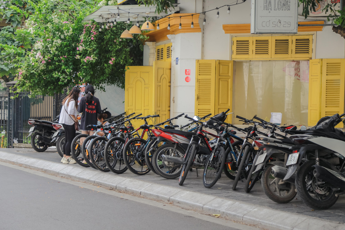 Có thể dễ dàng thuê xe đạp tại nhiều địa điểm ven hồ như khu vực đường Trích Sài, Nguyễn Đình Thi… Mọi người có thể di chuyển ra đây và gửi xe máy tại chính địa điểm thuê xa đạp. Có thể dễ dàng thuê xe đạp tại nhiều địa điểm ven hồ như khu vực đường Trích Sài, Nguyễn Đình Thi… Mọi người có thể di chuyển ra đây và gửi xe máy tại chính địa điểm thuê xa đạp.