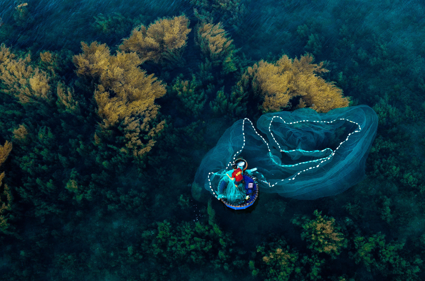Mùa rêu trên đảo Hòn Khô bắt đầu vào tháng 4 và kết thúc vào cuối tháng 6