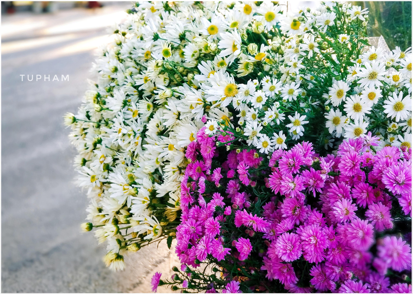 Một Hà Nội rất thơ được Tú Phạm bắt trọn qua một khung hình. Một Hà Nội rất thơ được Tú Phạm bắt trọn qua một khung hình.