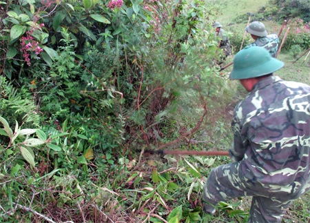 Đơn vị có nhiệm vụ rà phá bom mìn, vật nổ trên diện tích 20ha ở xã Xín Mần, trong năm 2013
