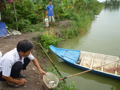 Ông Hoàng Đức Cát với cá tra giống đã quá lứa mà chưa bán được. ẢNH: Trường ca